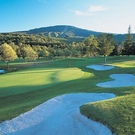 The Black Bear Lodge At Stratton Mountain Resort Facilités photo