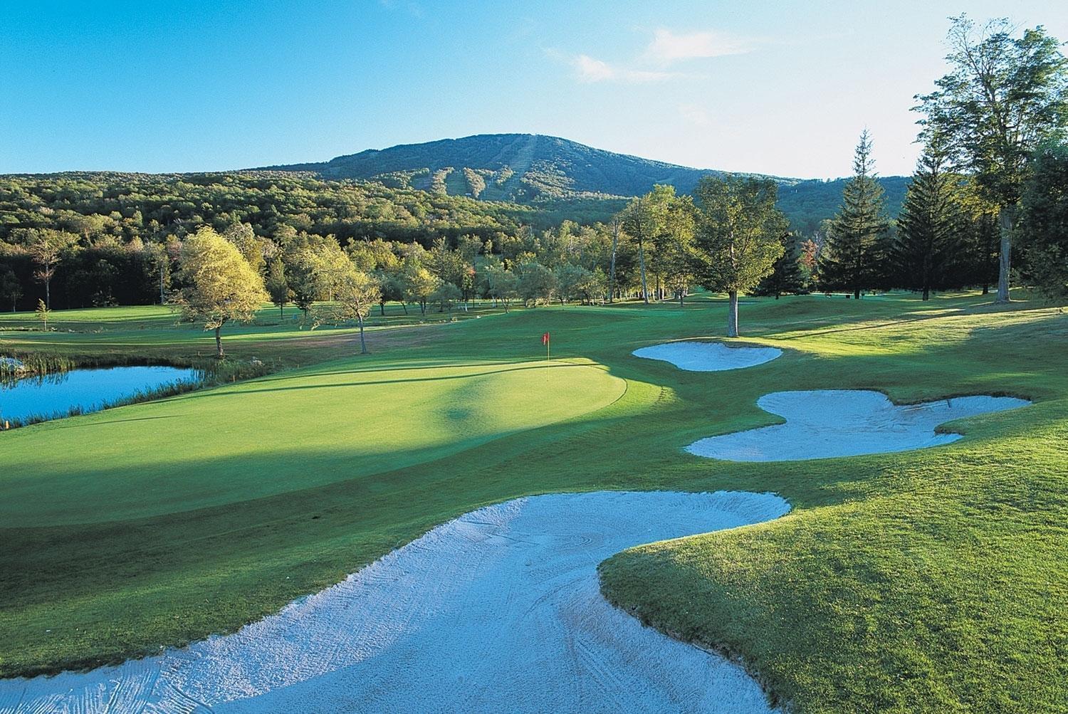 The Black Bear Lodge At Stratton Mountain Resort Facilités photo