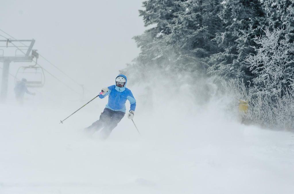 The Black Bear Lodge At Stratton Mountain Resort Extérieur photo