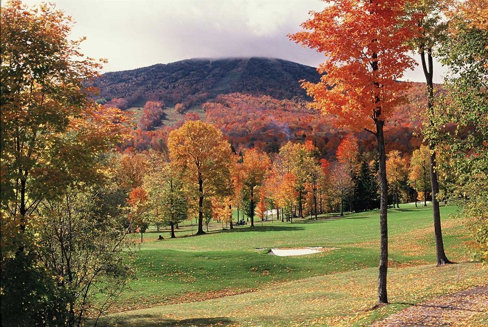 The Black Bear Lodge At Stratton Mountain Resort Facilités photo