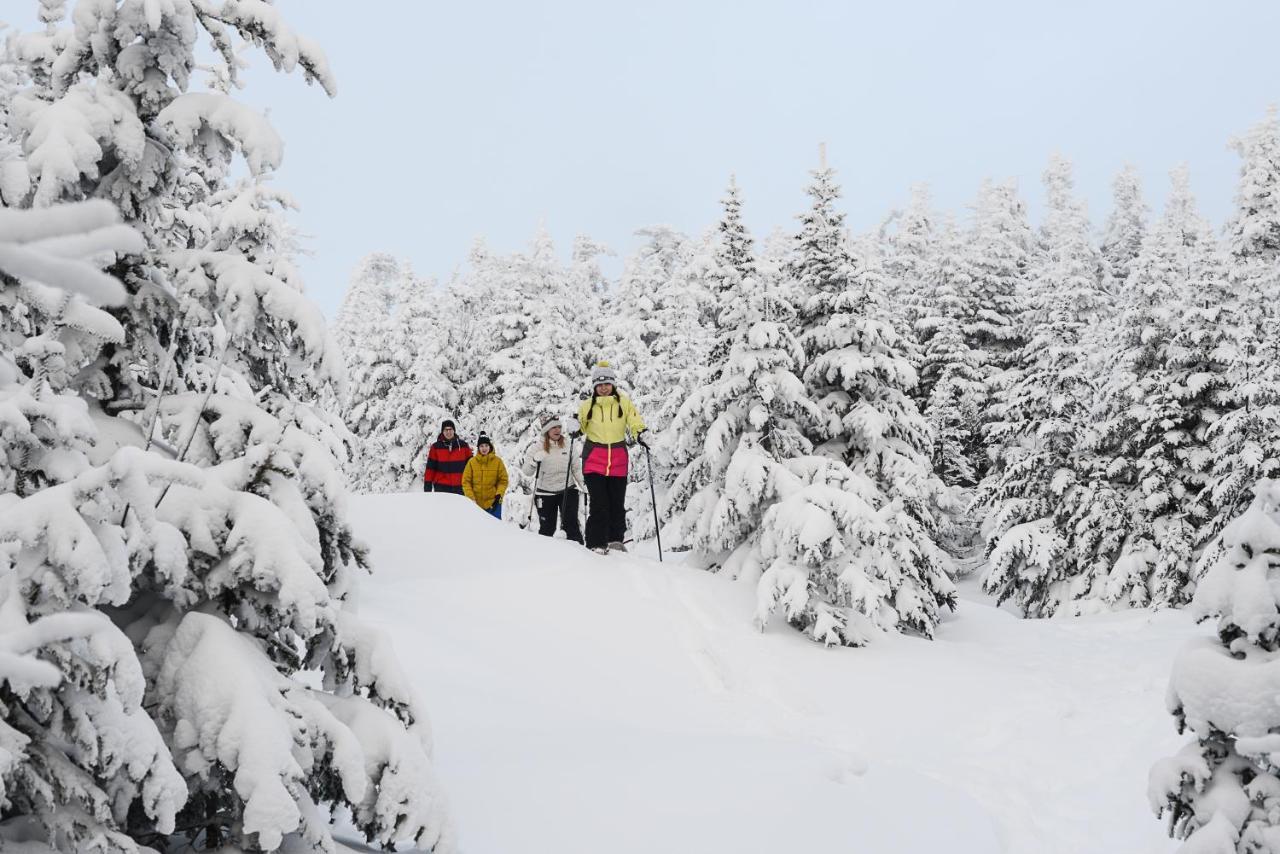 The Black Bear Lodge At Stratton Mountain Resort Extérieur photo