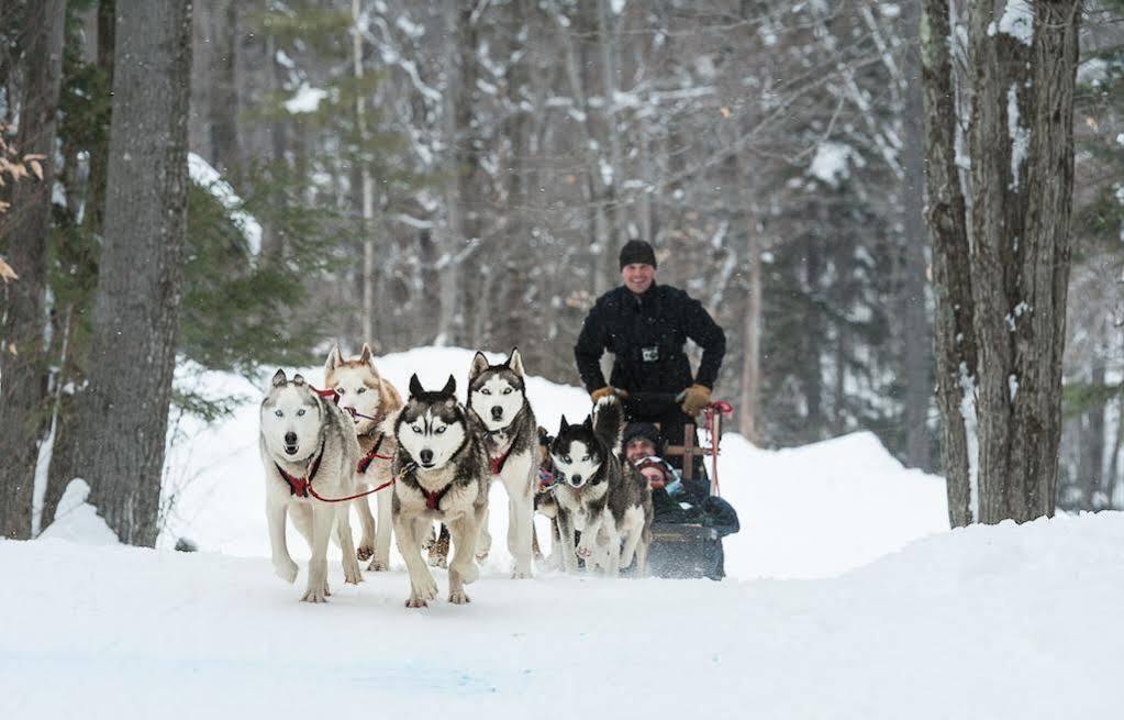 The Black Bear Lodge At Stratton Mountain Resort Extérieur photo
