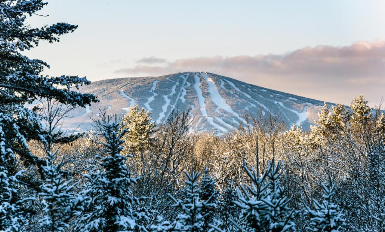 The Black Bear Lodge At Stratton Mountain Resort Extérieur photo